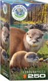 Vidrák, 250 db-os puzzle (EUROGRAPHICS,8251-5558)