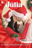 Vinton Kiadó Kft. Cara Colter: Júlia 499. (A nagy karácsonyi álom) - könyv