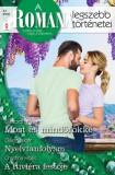 Vinton Kiadó Kft. Christina Hollis - Elizabeth Power - Claire Baxter: A Romana legszebb történetei 41. - Most és mindörökké; Nyelvtanfolyam; A Riviéra festője - könyv
