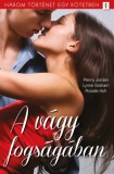 Vinton Kiadó Kft. Lynne Graham - Penny Jordan - Rosalie Ash: A vágy fogságában - 3 történet 1 kötetben - A vágy fogságában, Összezárva, Örökös főszerep - könyv