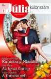 Vinton Kiadó Kft. Rebecca Winters - Alison Roberts - Nina Milne: Júlia különszám 96. - Karácsony Nizzában; Az igazi ünnep; A francia séf - könyv