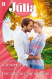 Vinton Kiadó Kft. Susan Stephens - Helen Brooks: Júlia 735.-736. - A kísértés íze; Remény és megbocsátás - könyv