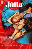 Vinton Kiadó Kft. Susanna Carr: Júlia 621. - A bosszú istennője (Chatsfield Hotel 15.) - könyv