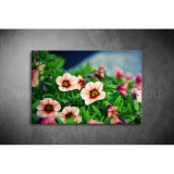 Virág Vászonkép 022 vi-022