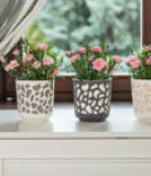 Virágk Dupla Duet 19,5 Cm