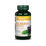VitaKing Bilberry (90 kap.)