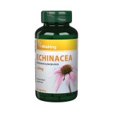 Vitaking echinacea kapszula 90 db