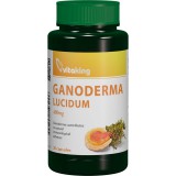 VitaKing Ganoderma kivonat (60 kap.)