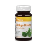 VitaKing Ginkgo Biloba (60 mg) (90 kap.)