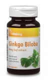 Vitaking Ginkgo Biloba 60mg kapszula 90 db