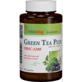 VitaKing Green Tea Plus (90 kap.)