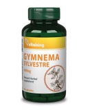 Vitaking Gymnema Sylvestre 400 mg kapszula 90 db
