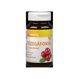 VitaKing Tőzegáfonya kivonat C-vitaminnal (90 g.k.)