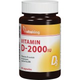 VitaKing Vitamin D-2000 (90 g.k.)