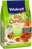 Vitakraft Mni Carotties rágcsálóknak 50 g