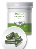 VitalTrend Vital Trend Chlorella 350mg (120 kapszula)