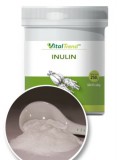 VitalTrend Vital Trend Inulin por (500g)