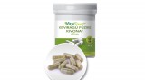 VitalTrend Vital Trend Kisvirágú füzike kivonat 400 mg (60 kapszula)