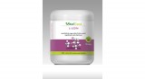 VitalTrend Vital Trend L-lizin (100g)