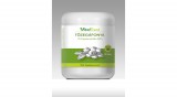 VitalTrend Vital Trend Tőzegáfonya kivonat por (Exocyan™) (100g)