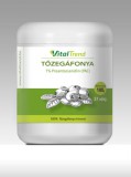 VitalTrend Vital Trend Tőzegáfonya kivonat por (Exocyan™) (250g)