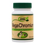 Vitamin Station Mega Chromium (100 kap.)