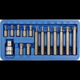 VOREL 15 db CrV TORX bitkészlet (5906083665806)