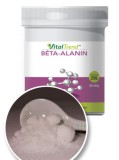 VitalTrend Vital Trend Béta-Alanin por (250g)