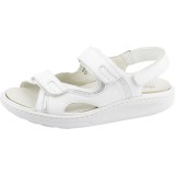 Waldlaufer Dynamic:  Hester fehér