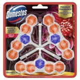 WC frissítő blokk, 3 db-os, DOMESTOS Aroma Lux, dália és sárkánygyümölcs (KHT1175)