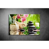 Wellness Vászonkép 003 sfs-003