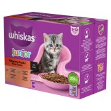 Whiskas Junior klasszikus krémes tasakos eledel válogatás kölyök macskák számára 4 x (12 x 85 g)