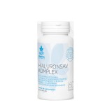 Wise Tree Naturals Hialuronsav komplex (60 kap.)