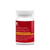 Wise Tree Naturals Kurkuma spektrum (60 kap.)