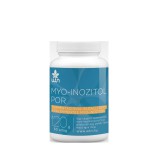 Wise Tree Naturals Myo-Inositol Powder (120 gr.)