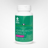Wise Tree Naturals WTN ASHWAGANDHA KOMPLEX