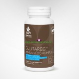Wise Tree Naturals WTN GLUTAREG™ IMMUNVÉDŐ KOMPLEX