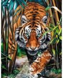 WIZARDI Gyémántfestés szett, tigris a dzsungelben, 38x48cm