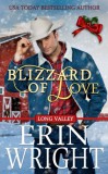 Wright's Romance Reads Erin Wright: Blizzard of Love - könyv