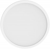 Xiaomi Smart LED Ceiling Light D20 BHR07RIGL