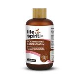 XQZ Bokrosgomba koncentrátum 250 ml - Life Spirit