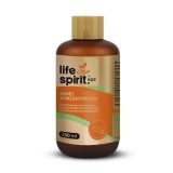 XQZ Fahéj koncentrátum 250 ml - Life Spirit