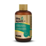 XQZ Ginkgo Biloba koncentrátum 250 ml - Life Spirit