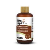 XQZ Mandulagomba koncentrátum 250 ml - Life Spirit