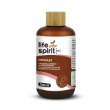 XQZ Provasc gomba koncentrátum 250 ml - Life Spirit