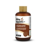 XQZ Shiitake gomba koncentrátum 250 ml - Life Spirit
