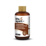 XQZ Süngomba koncentrátum 250 ml - Life Spirit