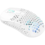 Xtrfy M42W RGB Wireless Gaming Mouse White M42W-RGB-WHITE