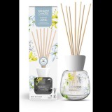 YANKEE CANDLE Signature Midnight Jasmine 100 ml (5038581156156)