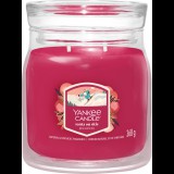 YANKEE CANDLE Signature Santa On Skis 368 g (5038581167183)